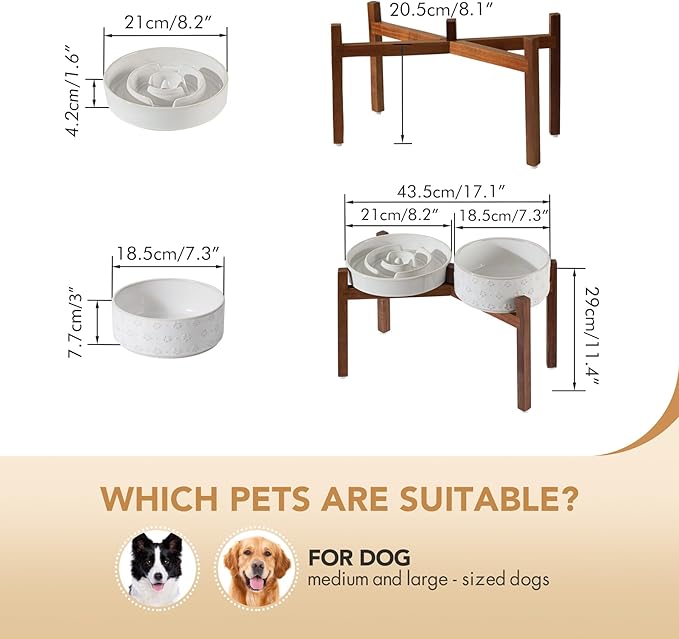 Havniva Ceramic 1.6 Cup Raised Slow Feeder Dog Bowl Set, Elevated 7.3inch Bowl and 8.2inch Dish with Acacia Wood Stand for Medium and Large Dog(Reactived Glaze -White