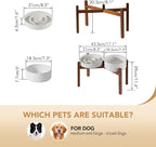 Havniva Ceramic 1.6 Cup Raised Slow Feeder Dog Bowl Set, Elevated 7.3inch Bowl and 8.2inch Dish with Acacia Wood Stand for Medium and Large Dog(Reactived Glaze -White