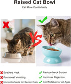 ABRUTY Cat Water Bowl, 16 OZ Ceramic Elevated Cat Bowls, 15° Tilted and Raised Pet Food Dish, Anti Vomiting Protect Pets' Spines and Whisker Fatigue, Set of 2, Turquoise