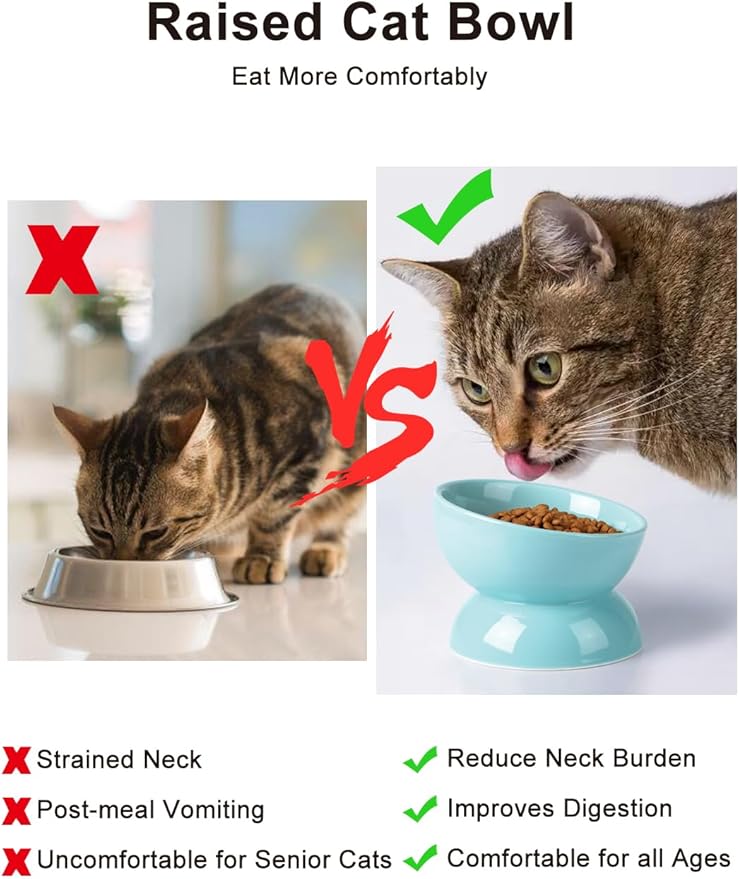 ABRUTY Cat Water Bowl, 16 OZ Ceramic Elevated Cat Bowls, 15° Tilted and Raised Pet Food Dish, Anti Vomiting Protect Pets' Spines and Whisker Fatigue, Turquoise