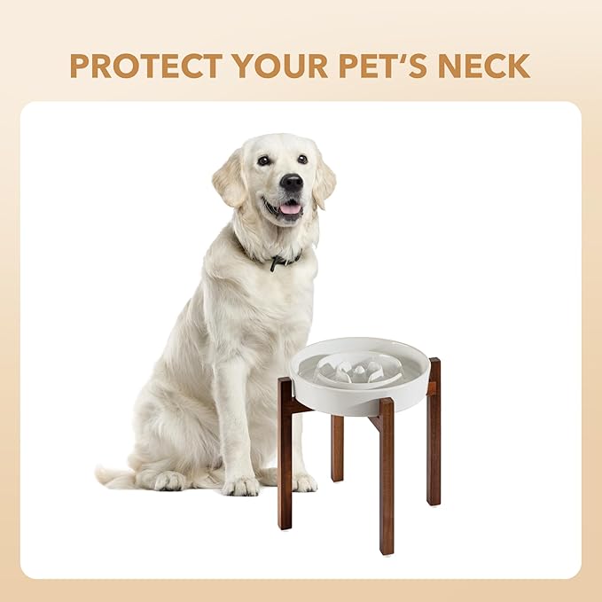 Havniva Ceramic 3.2 Cup Raised Slow Feeder Dog Bowl Set, Elevated Acacia Wood Stand for Large Dog, 9.5inch Slow Dish, Preventing Choking(Single Bowl+ Stand, Reactived Glaze -White)