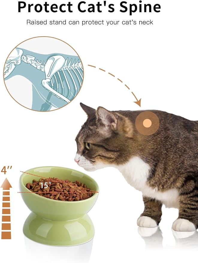 ABRUTY Cat Water Bowl, 16 OZ Ceramic Elevated Cat Bowls, 15° Tilted and Raised Pet Food Dish, Anti Vomiting Protect Pets' Spines and Whisker Fatigue