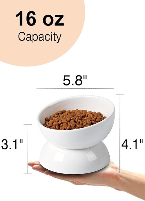 ABRUTY Cat Water Bowl, 16 OZ Ceramic Elevated Cat Bowls, 15° Tilted and Raised Pet Food Dish, Anti Vomiting Protect Pets' Spines and Whisker Fatigue