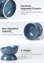 ABRUTY Cat Water Bowl, 16 OZ Ceramic Elevated Cat Bowls, 15° Tilted and Raised Pet Food Dish, Anti Vomiting Protect Pets' Spines and Whisker Fatigue, Set of 2, Blue