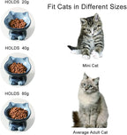 Nihow Ceramic Raised Cat & Dog Bowls: 5 Inch Elegant Gray (2 PC), Protecting Pet's Spine, Feeding & Watering Supplies, Modern Design, Anti Vomiting, Whisker Friendly