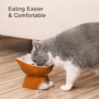 Nihow Elevated Cat/Dog Bowls: 6.25 Inch Ceramic Raised Cat Food & Water Bowl Set for Protecting Pet's Spine - Feeding & Watering Supplies for Cat/Small Size Dog - Elegant Brown (6.8 OZ /1 PC)