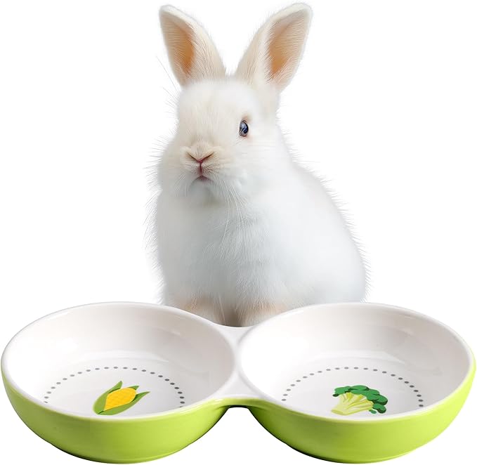 Navaris Twin Feeding Dog or Cat Bowls - Durable Double Ceramic Kitten or Puppy Bowl Set - Ideal for Food & Water for Small Pets - Space-Saving Design & Easy to Clean - Green