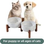Havniva Ceramic 5.1inch Raised Double Bowls Set with Acacia Wood Stand, 2 Heights Elevated, Food & Water Bowls for Puppy, Kitty, Cats(13.5oz, Arctic White)