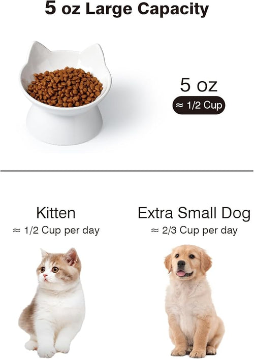 ABRUTY Cat Food Bowl, 5 OZ Ceramic Elevated Kitten Water Bowl, 15° Tilted Raised Pet Feeder, Anti Vomiting and Whisker Friendly Dishes for Fat Faced, Cat, Kitten, Small Dog