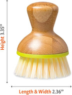 Full Circle, Green Bubble Up Bamboo Dish Brush, White, Model:FC12115G