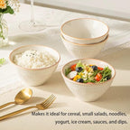 Ceramic Small Bowls Set 4-Piece, 12 OZ Farmhouse Vintage Ramekins Bowl for Salad Dessert Yogurt Dipping, 4.7 In Porcelain Bowl Microwave Dishwasher Safe, Misty White Christmas Gift