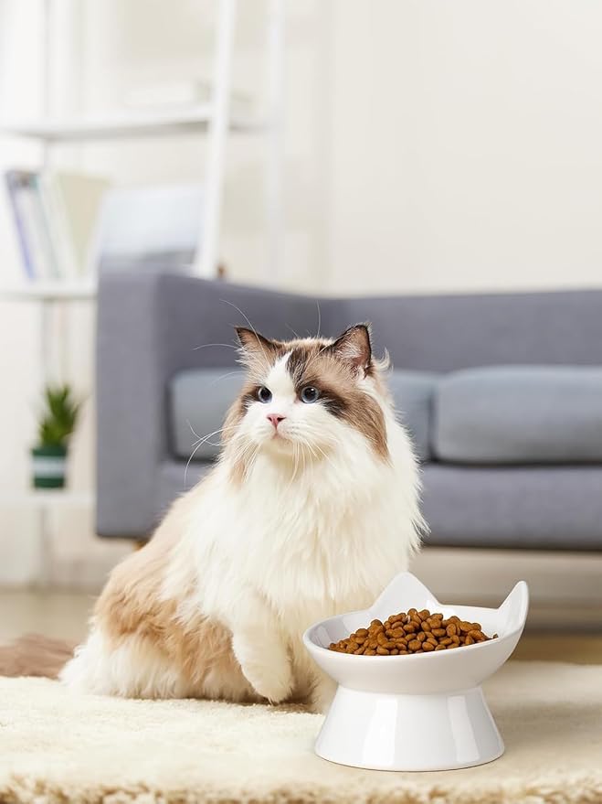 ABRUTY Cat Food Bowl, 5 OZ Ceramic Elevated Kitten Water Bowl, 15° Tilted Raised Pet Feeder, Anti Vomiting and Whisker Friendly Dishes for Fat Faced, Cat, Kitten, Small Dog