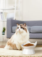 ABRUTY Cat Food Bowl, 5 OZ Ceramic Elevated Kitten Water Bowl, 15° Tilted Raised Pet Feeder, Anti Vomiting and Whisker Friendly Dishes for Fat Faced, Cat, Kitten, Small Dog