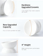 ABRUTY Cat Water Bowl, 16 OZ Ceramic Elevated Cat Bowls, 15° Tilted and Raised Pet Food Dish, Anti Vomiting Protect Pets' Spines and Whisker Fatigue