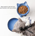 Nihow Elevated Cat/Dog Bowls Set : 5 Inch Ceramic Raised Cat Food and Water Bowl Set for Protecting Pet's Spine - Feeding & Watering Supplies for Pets- Elegant Blue & Black (2PC)