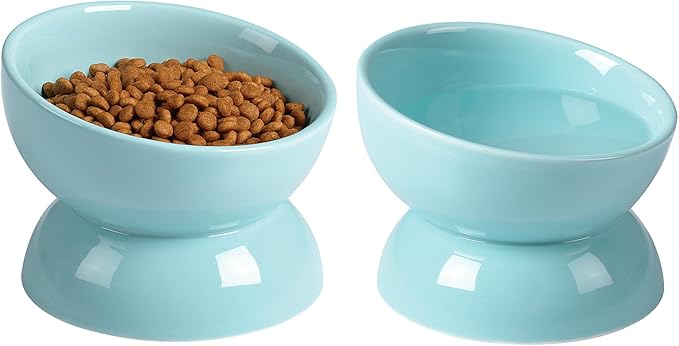 ABRUTY Cat Water Bowl, 16 OZ Ceramic Elevated Cat Bowls, 15° Tilted and Raised Pet Food Dish, Anti Vomiting Protect Pets' Spines and Whisker Fatigue, Set of 2, Turquoise