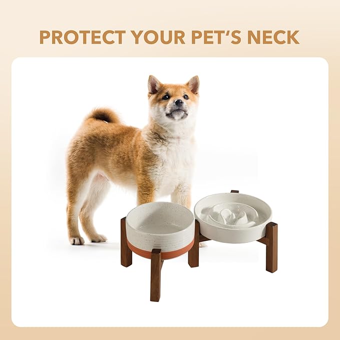 Havniva Ceramic 1.2 Cup Raised Slow Feeder Dog Bowl Set, Elevated 6.1inch Bowl and 7.3inch Dish with Acacia Wood Stand for Small and Medium Dogs(2 x Vanilla White+ Stand)