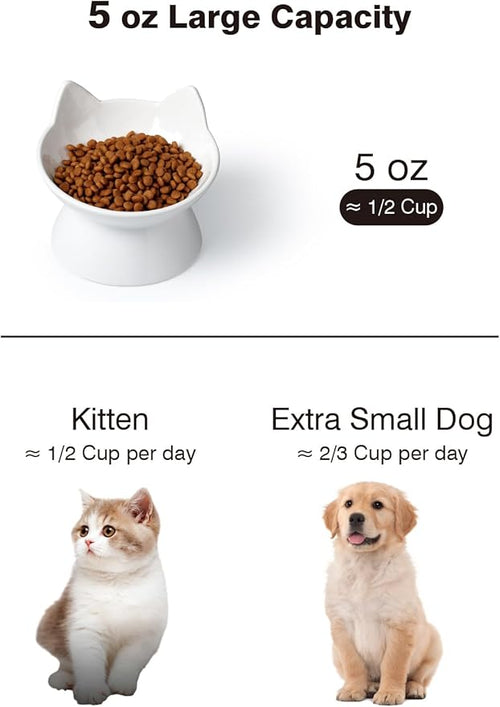 ABRUTY Cat Food Bowl, 5 OZ Ceramic Elevated Kitten Water Bowl, 15° Tilted Raised Pet Feeder, Anti Vomiting and Whisker Friendly Dishes for Fat Faced, Cat, Kitten, Small Dog