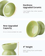 ABRUTY Cat Water Bowl, 16 OZ Ceramic Elevated Cat Bowls, 15° Tilted and Raised Pet Food Dish, Anti Vomiting Protect Pets' Spines and Whisker Fatigue