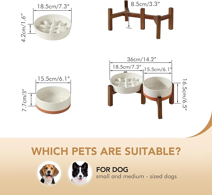 Havniva Ceramic 1.2 Cup Raised Slow Feeder Dog Bowl Set, Elevated 6.1inch Bowl and 7.3inch Slow Feeder Dish with Acacia Wood Stand for Small and Medium Dogs (2 x Vanilla White+ Stand)