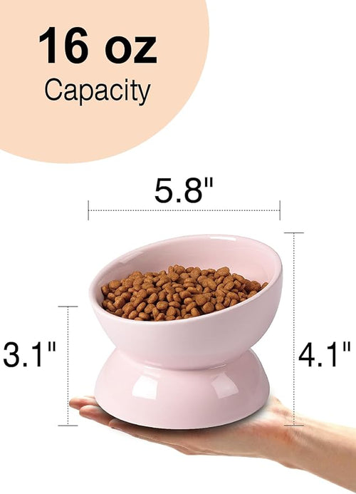 ABRUTY Cat Water Bowl, 16 OZ Ceramic Elevated Cat Bowls, 15° Tilted and Raised Pet Food Dish, Anti Vomiting Protect Pets' Spines and Whisker Fatigue