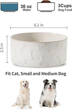 UBEE Ceramic Dog Bowl Set of 2, Dog Food Bowl Dish, Pet Food Water Dish Feeding for Small and Meidum Dogs and Large Cat, White, Paw + Bone Pattern, 6.1 in-Medium