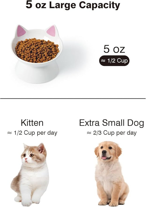 ABRUTY Cat Food Bowl, 5 OZ Ceramic Elevated Kitten Water Bowl, 15° Tilted Raised Pet Feeder, Anti Vomiting and Whisker Friendly Dishes for Fat Faced, Cat, Kitten, Small Dog