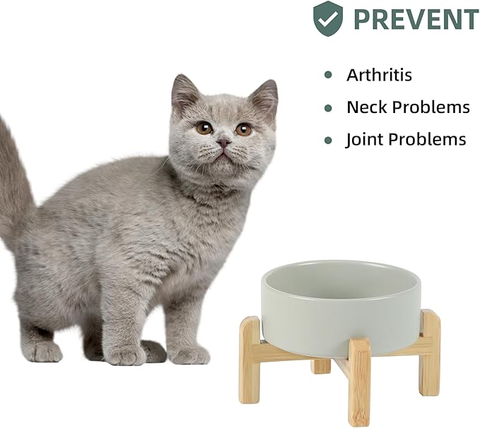 Havniva Ceramic Raised Dog and Cat Bowl Set, 2 Heights Elevated Stand, Food and Water Bowl for Small Breed Dogs, Cats, Kitty, Weighted Dog Dishes, Pet Bowls(5.1'',13.5oz, Grey)