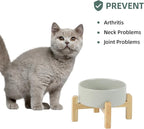 Havniva Ceramic Raised Dog and Cat Bowl Set, 2 Heights Elevated Stand, Food and Water Bowl for Small Breed Dogs, Cats, Kitty, Weighted Dog Dishes, Pet Bowls(5.1'',13.5oz, Grey)
