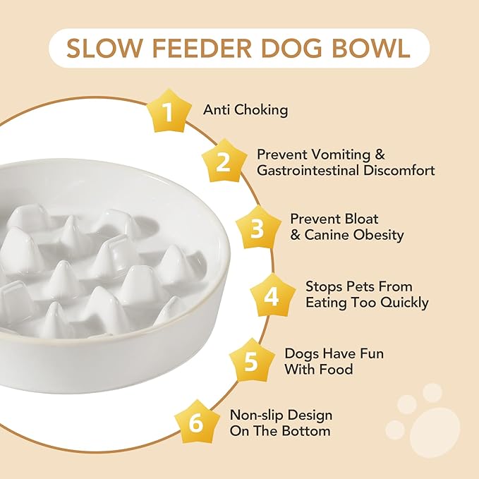 Havniva Ceramic 3.2 Cup Dog Bowl Slow Feeder, 9.5 inch Slow Pet Food Dish for Large Dog, Stop Bloat, Preventing Choking(Single Bowl,Reactived Glaze -White)