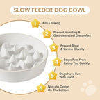 Havniva Ceramic 3.2 Cup Dog Bowl Slow Feeder, 9.5 inch Slow Pet Food Dish for Large Dog, Stop Bloat, Preventing Choking(Single Bowl,Reactived Glaze -White)