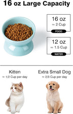 ABRUTY Cat Water Bowl, 16 OZ Ceramic Elevated Cat Bowls, 15° Tilted and Raised Pet Food Dish, Anti Vomiting Protect Pets' Spines and Whisker Fatigue, Set of 2, Turquoise