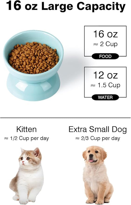 ABRUTY Cat Water Bowl, 16 OZ Ceramic Elevated Cat Bowls, 15° Tilted and Raised Pet Food Dish, Anti Vomiting Protect Pets' Spines and Whisker Fatigue, Turquoise