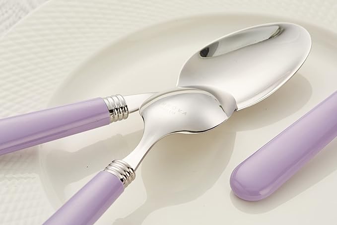 ANNOVA Stainless Steel Colorful Tableware Kitchen Flatware Set Utensils, Includes Dinner Knives, Forks, Spoons, Salad Forks & Dessert Spoons, Modern Rounded Shape (Lilac, 20 Pieces)