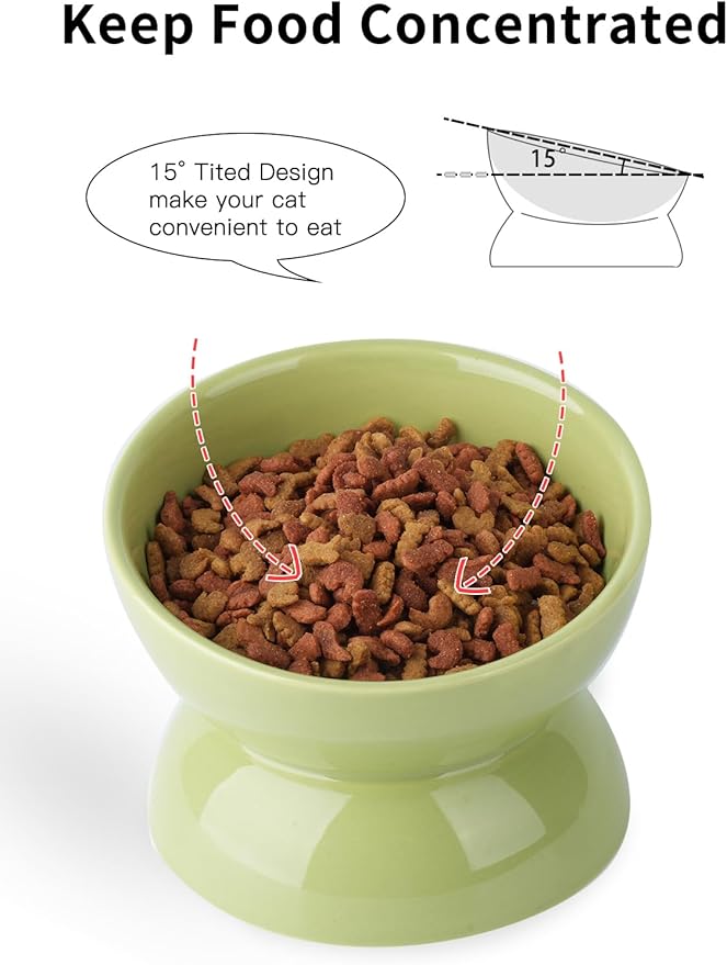ABRUTY Cat Water Bowl, 16 OZ Ceramic Elevated Cat Bowls, 15° Tilted and Raised Pet Food Dish, Anti Vomiting Protect Pets' Spines and Whisker Fatigue