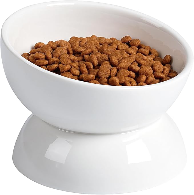 ABRUTY Cat Water Bowl, 16 OZ Ceramic Elevated Cat Bowls, 15° Tilted and Raised Pet Food Dish, Anti Vomiting Protect Pets' Spines and Whisker Fatigue