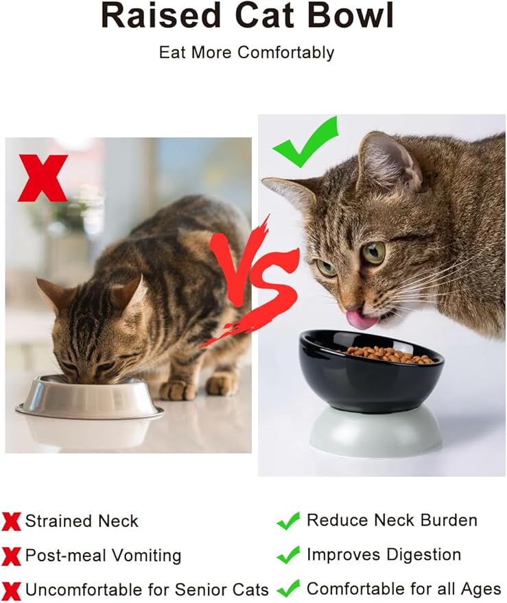 ABRUTY Cat Water Bowl, 16 OZ Ceramic Elevated Cat Bowls, 15° Tilted and Raised Pet Food Dish, Anti Vomiting Protect Pets' Spines and Whisker Fatigue, Black & Gray