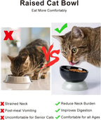 ABRUTY Cat Water Bowl, 16 OZ Ceramic Elevated Cat Bowls, 15° Tilted and Raised Pet Food Dish, Anti Vomiting Protect Pets' Spines and Whisker Fatigue, Black & Gray