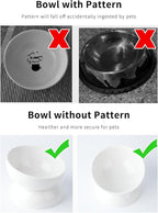 ABRUTY Cat Water Bowl, 16 OZ Ceramic Elevated Cat Bowls, 15° Tilted and Raised Pet Food Dish, Anti Vomiting Protect Pets' Spines and Whisker Fatigue