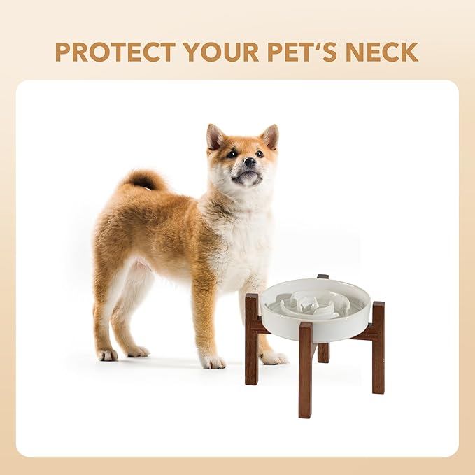 Havniva Ceramic 1.2 Cup Raised Slow Feeder Dog Bowl Set, Elevated Acacia Wood Stand for Medium and Small Dog, 7.3inch Slow Dish, Stop Bloat(Single Bowl+ Stand, Reactived Glaze -White)