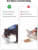 ABRUTY Cat Food Bowl, 5 OZ Ceramic Elevated Kitten Water Bowl, 15° Tilted Raised Pet Feeder, Anti Vomiting and Whisker Friendly Dishes for Fat Faced, Cat, Kitten, Small Dog