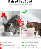 ABRUTY Cat Water Bowl, 16 OZ Ceramic Elevated Cat Bowls, 15° Tilted and Raised Pet Food Dish, Anti Vomiting Protect Pets' Spines and Whisker Fatigue