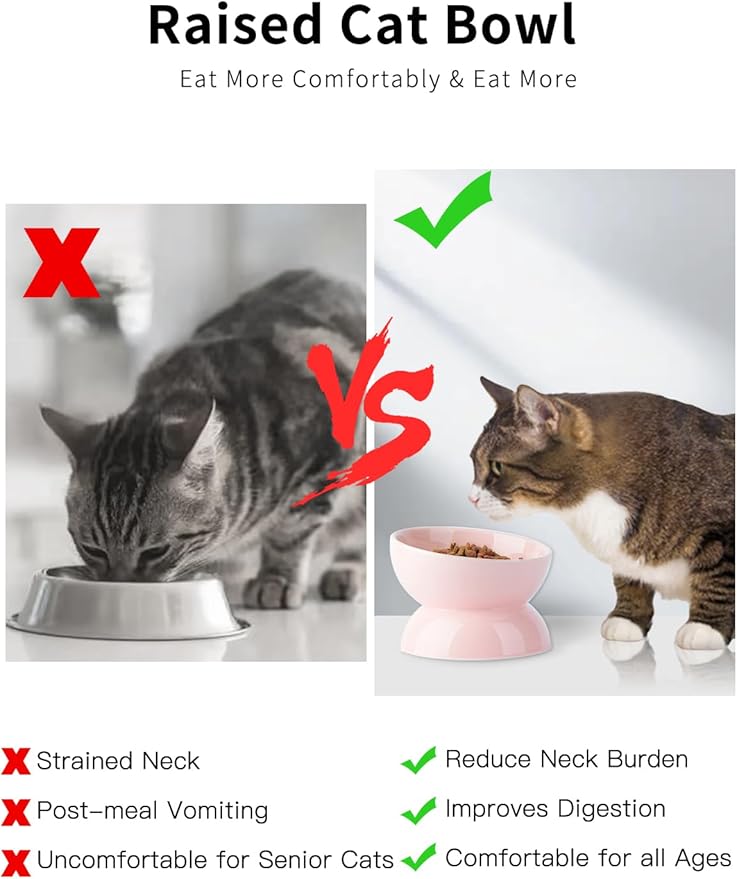 ABRUTY Cat Water Bowl, 16 OZ Ceramic Elevated Cat Bowls, 15° Tilted and Raised Pet Food Dish, Anti Vomiting Protect Pets' Spines and Whisker Fatigue