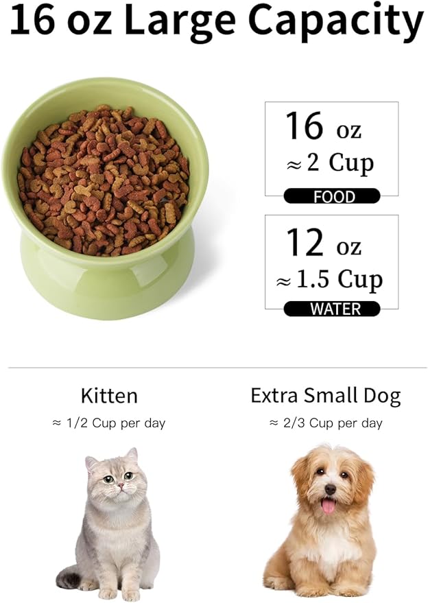 ABRUTY Cat Water Bowl, 16 OZ Ceramic Elevated Cat Bowls, 15° Tilted and Raised Pet Food Dish, Anti Vomiting Protect Pets' Spines and Whisker Fatigue