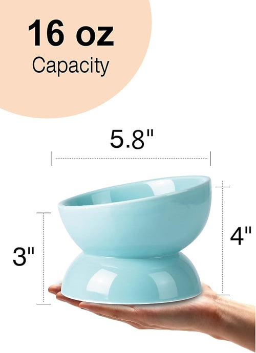 ABRUTY Cat Water Bowl, 16 OZ Ceramic Elevated Cat Bowls, 15° Tilted and Raised Pet Food Dish, Anti Vomiting Protect Pets' Spines and Whisker Fatigue, Set of 2, Turquoise
