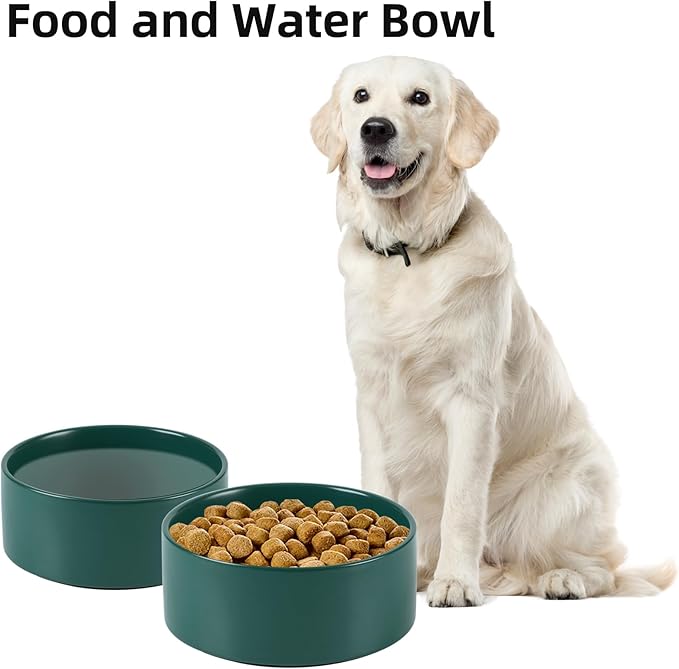 Havniva Non-Slip 8.2inch Ceramic Dog Food and Water Bowl for Large Breed Dogs, Pet Bowl for Replacement (Single Bowl, Green)