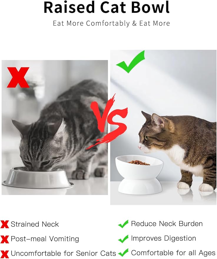 ABRUTY Cat Water Bowl, 16 OZ Ceramic Elevated Cat Bowls, 15° Tilted and Raised Pet Food Dish, Anti Vomiting Protect Pets' Spines and Whisker Fatigue