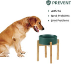 Havniva Ceramic Raised Dog Bowl Set, Elevated Dog Bowl with Stand, Food and Water Bowl for Large Breed Dogs, Weighted Pet Dishes(8.2'',60oz, Green)