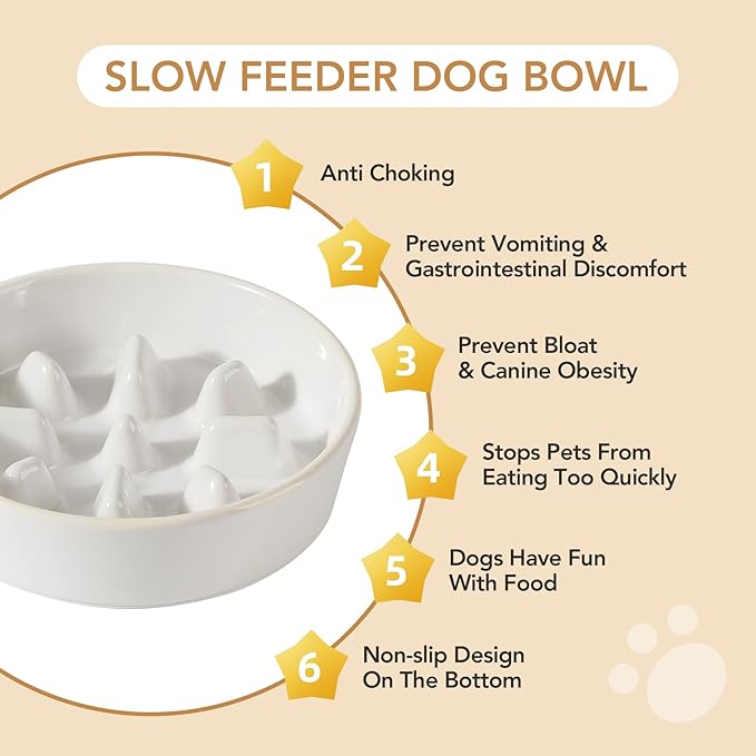 Havniva Ceramic 1.2 Cup Dog Raised Slow Feeder Set, Elevated Bowl with Wooden Stand for Medium and Small Dog, 7.3inch Slow Feeder Dish for Fast Easters(Single Bowl+ Stand, Reactived Glaze -White)