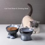 Nihow Ceramic Raised Cat & Dog Bowls: 5 Inch Elegant Gray (2 PC), Protecting Pet's Spine, Feeding & Watering Supplies, Modern Design, Anti Vomiting, Whisker Friendly
